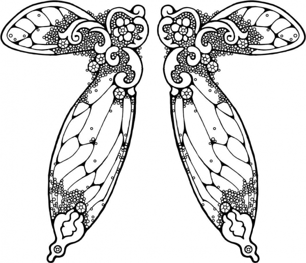 Fairy Wings Illustration coloring page image