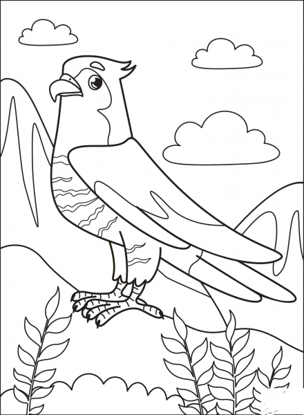 Falcon coloring page image