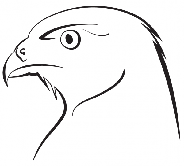 Falcon coloring page image