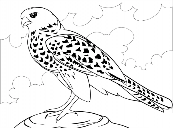 Falcon coloring page image