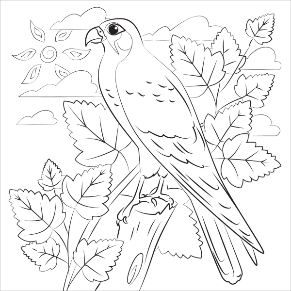 Falcon coloring page image