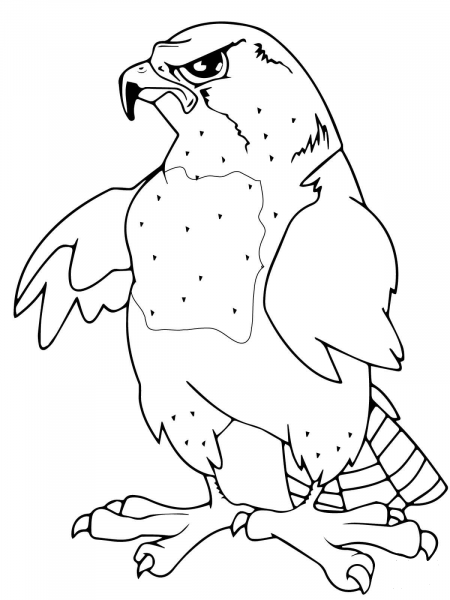 Falcon Mascot coloring page image