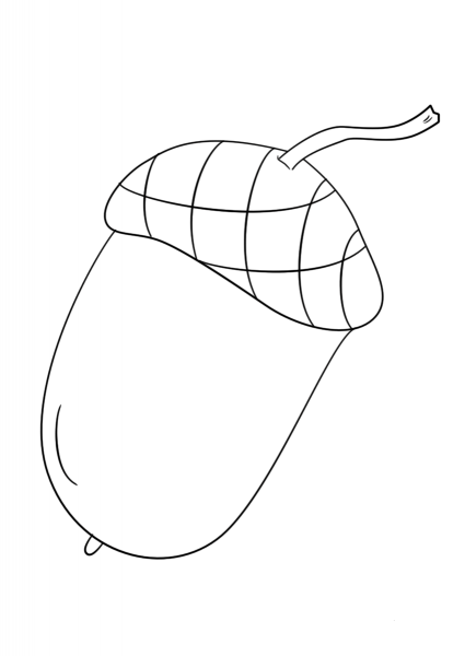 Fall Acorn coloring page image