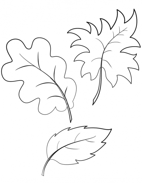 Fall Autumn Leaves coloring page image
