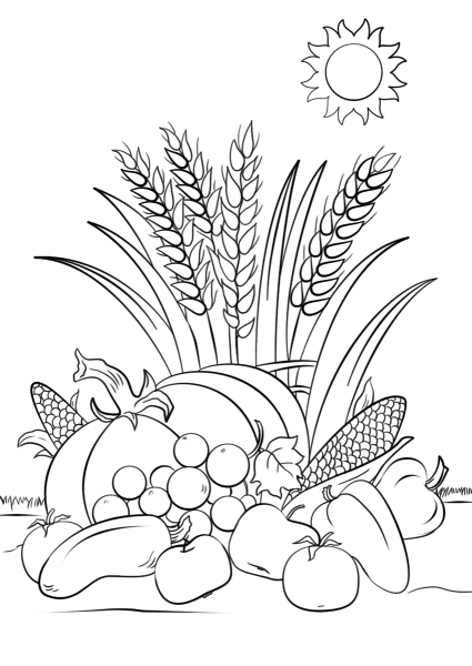 Fall Harvest coloring page image
