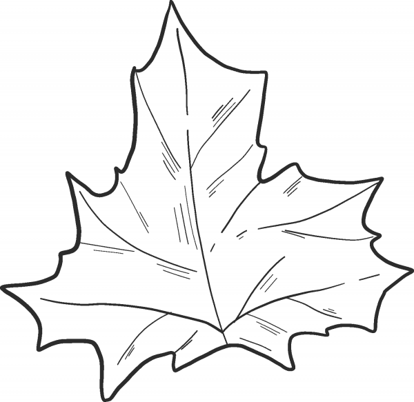 Fall Leaf coloring page image