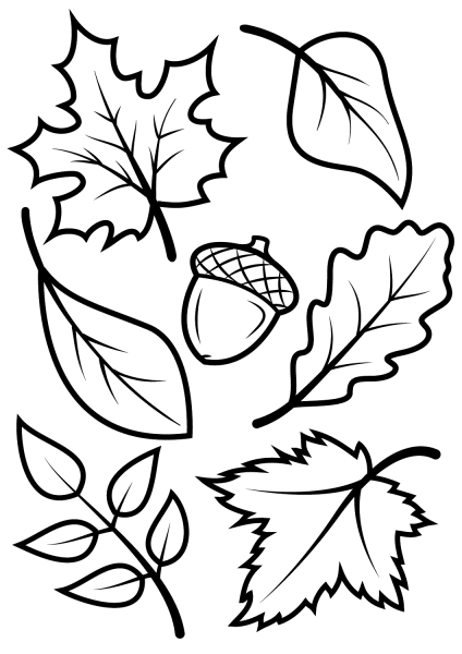 Fall Leaves and Acorn coloring page image