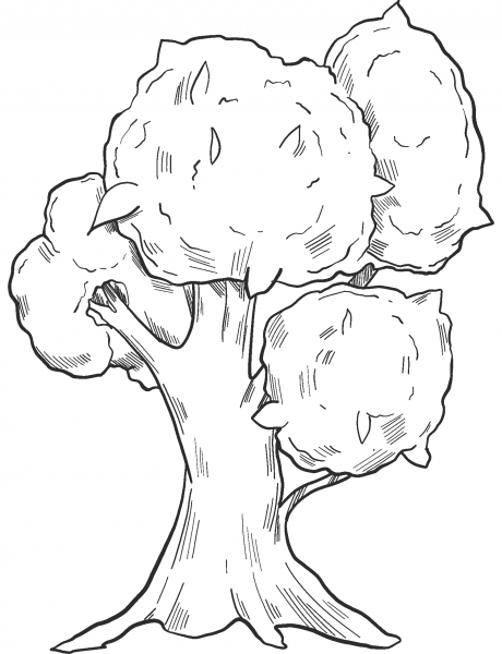Fall Tree coloring page image