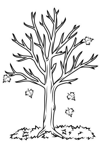 Fall Tree coloring page image