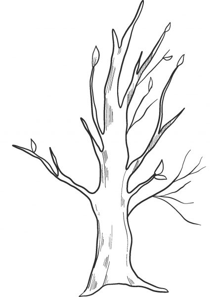 Fall Tree coloring page image