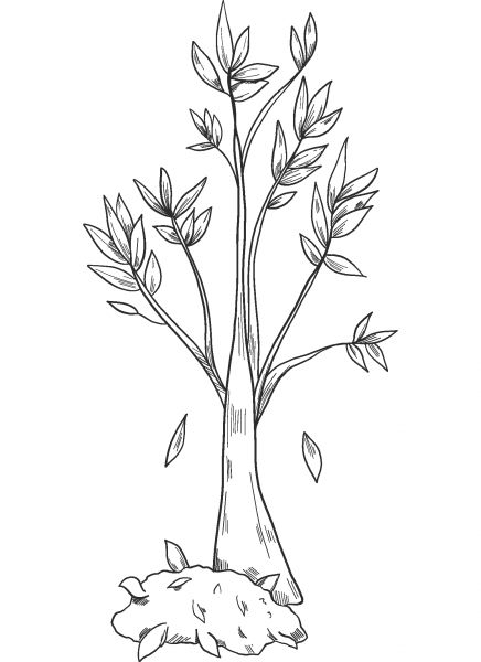 Fall Tree coloring page image