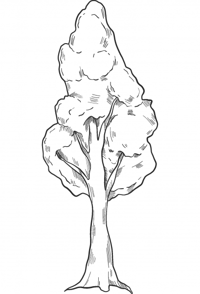 Fall Tree coloring page image