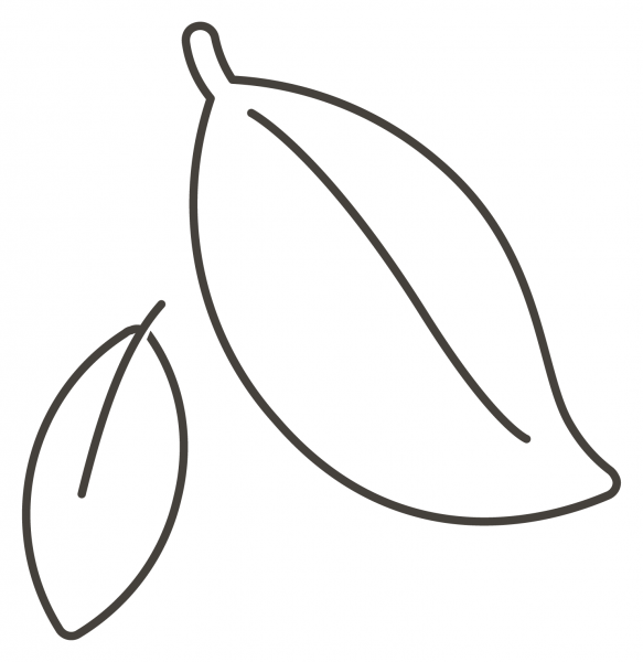 Fallen Leaf coloring page image