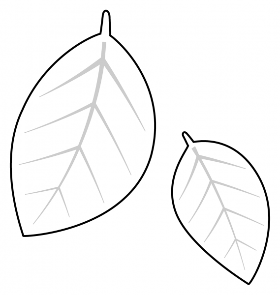 Fallen Leaf Emoji coloring page image