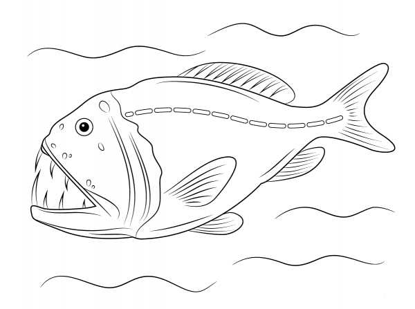 Fangtooth Fish coloring page image