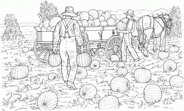 Farmers Gather the Harvest from Pumpkins Field coloring page image