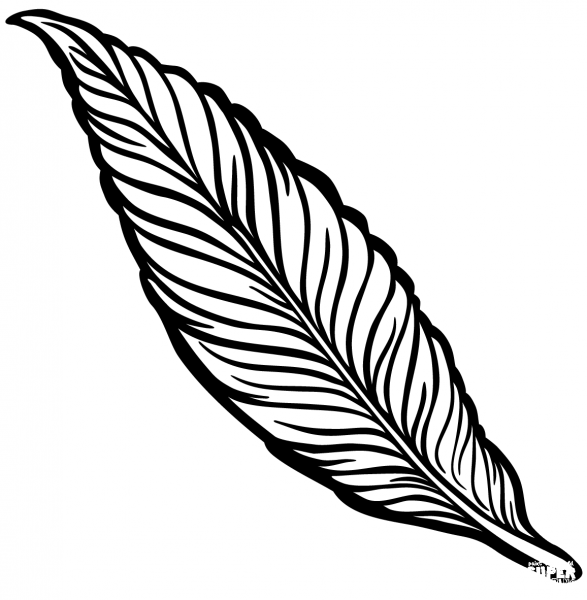 Feather coloring page image