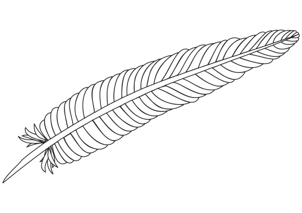 Feather coloring page image