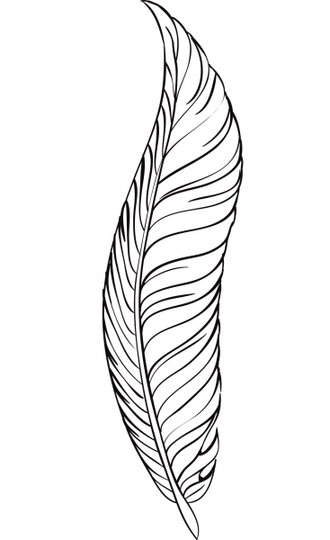 Feather Quill Pen coloring page image