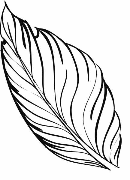 Feather Quill Pen coloring page image