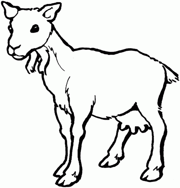 Female Goat coloring page image