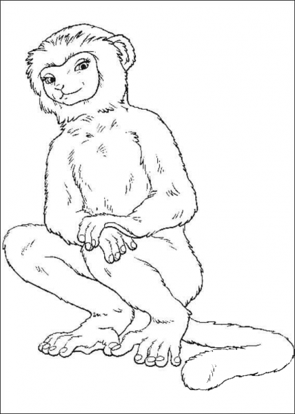 Female Monkey  coloring page image