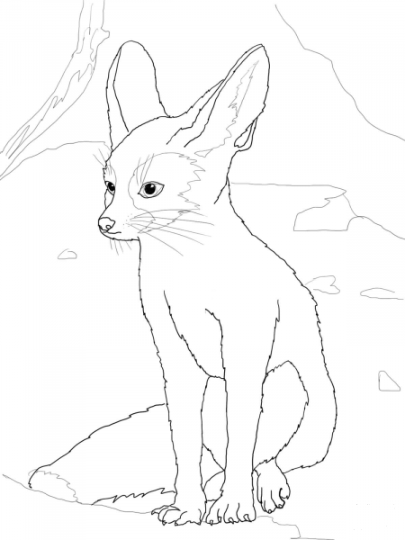 Fennec coloring page image