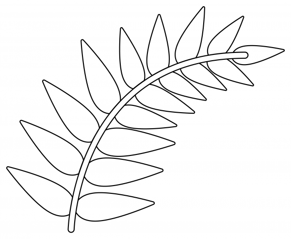 Fern coloring page image