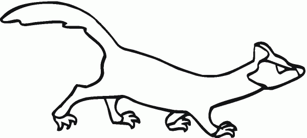 Ferret 5 coloring page image
