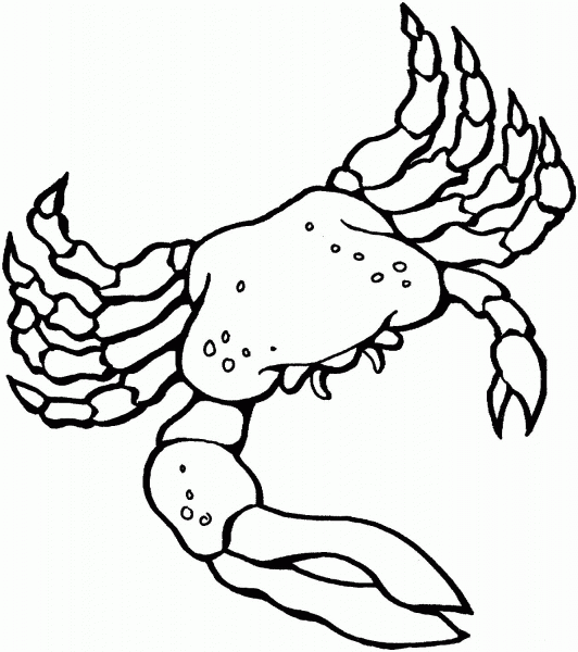 Fiddler Crab coloring page image