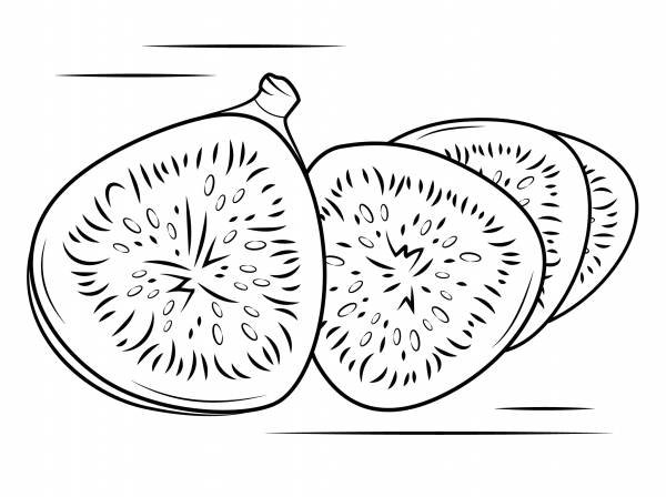 Fig Fruit coloring page image