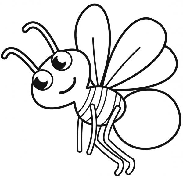 Firefly coloring page image