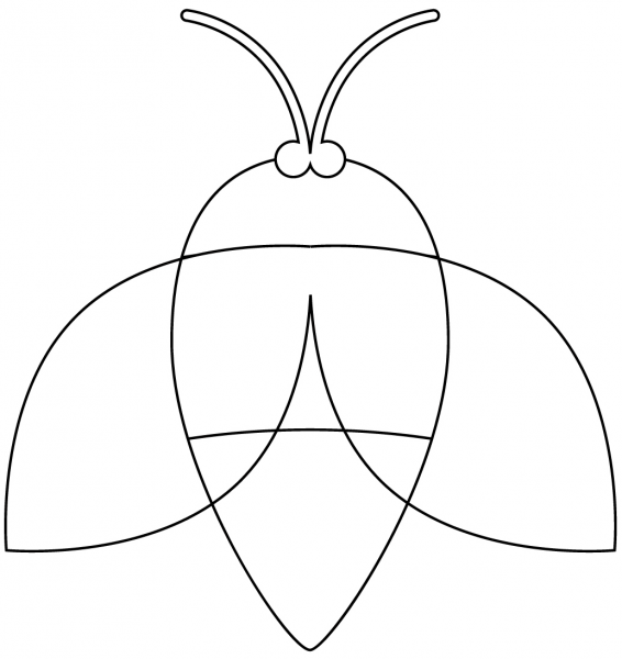 Firefly coloring page image