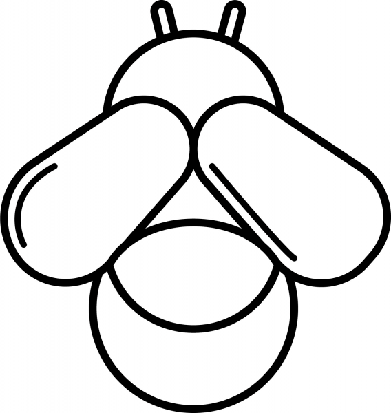 Firefly coloring page image