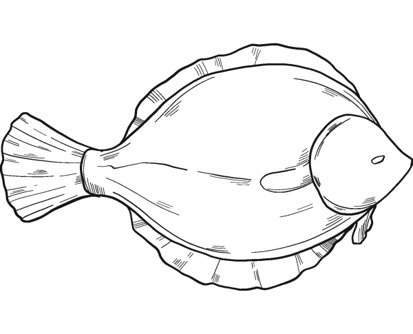 Fish coloring page image