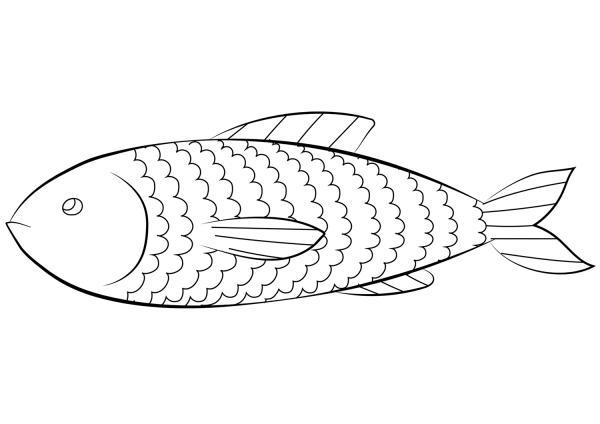 Fish coloring page image