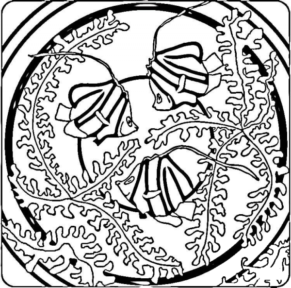 Fish in Seaweed  coloring page image