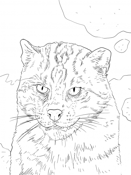 Fishing Cat Portrait coloring page image