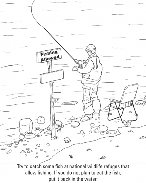 Fishing coloring page image