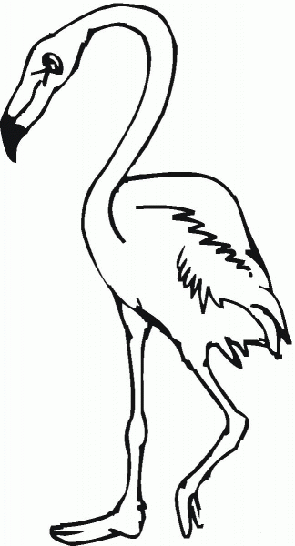 Flamingo Bird coloring page image