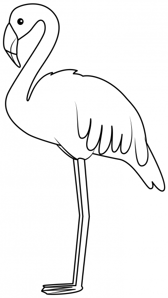 Flamingo coloring page image
