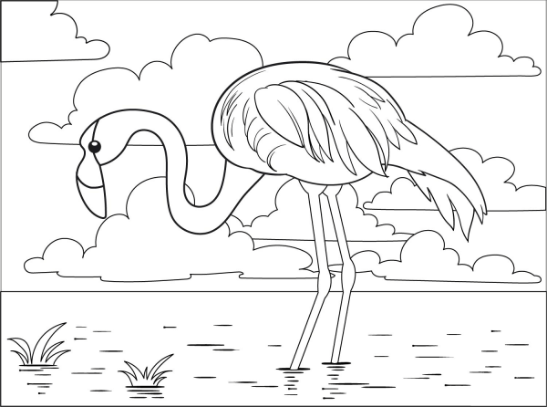 Flamingo coloring page image