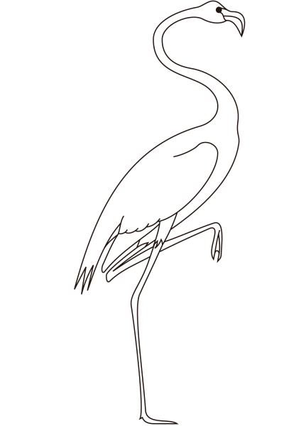 Flamingo coloring page image