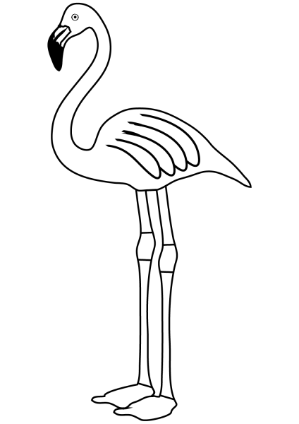 Flamingo coloring page image