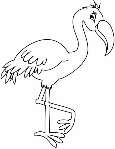 Flamingo coloring page image