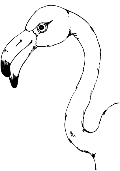Flamingo Head coloring page image