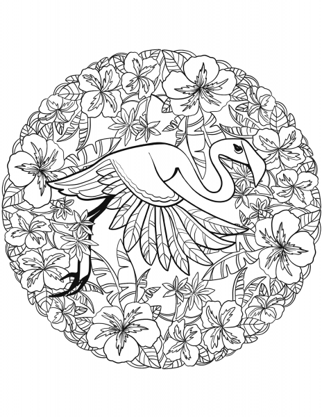 Flamingo Mandala coloring page image