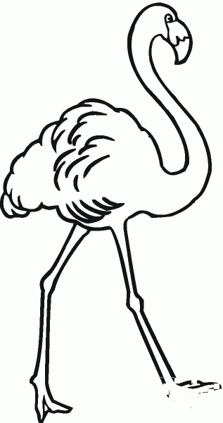 Flamingo stepping coloring page image