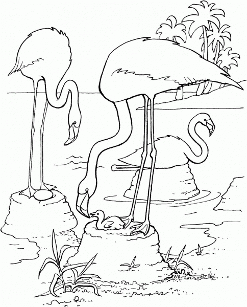Flamingo with Baby Flamingo coloring page image