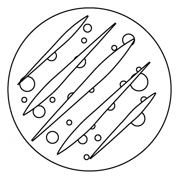 Flatbread Emoji coloring page image